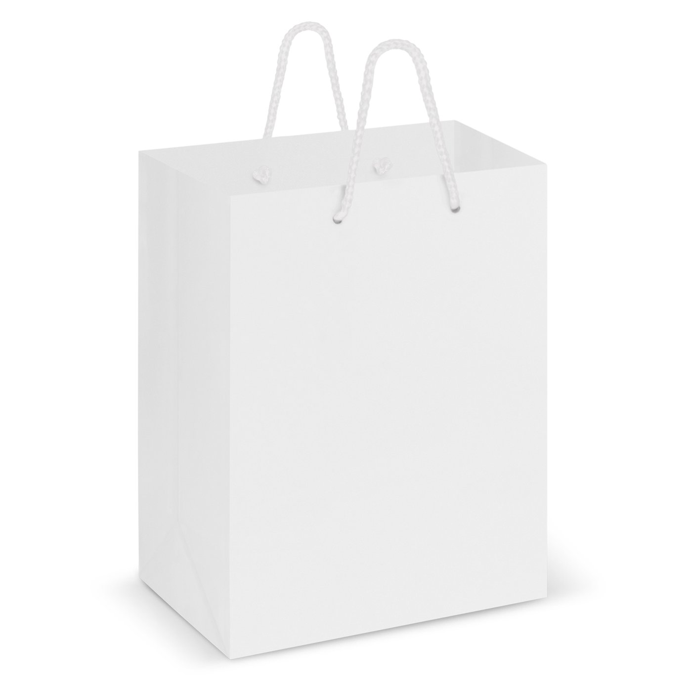 Laminated Carry Bag – Medium