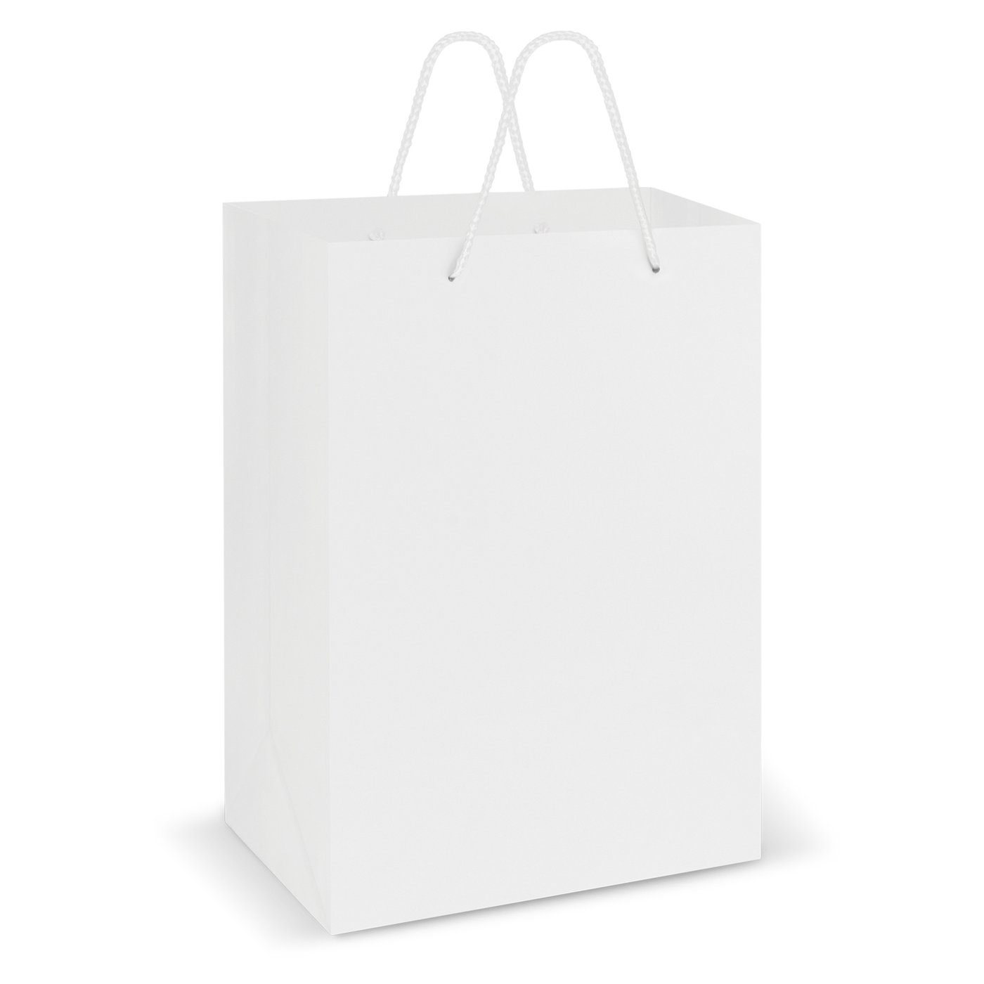 Laminated Carry Bag – Large