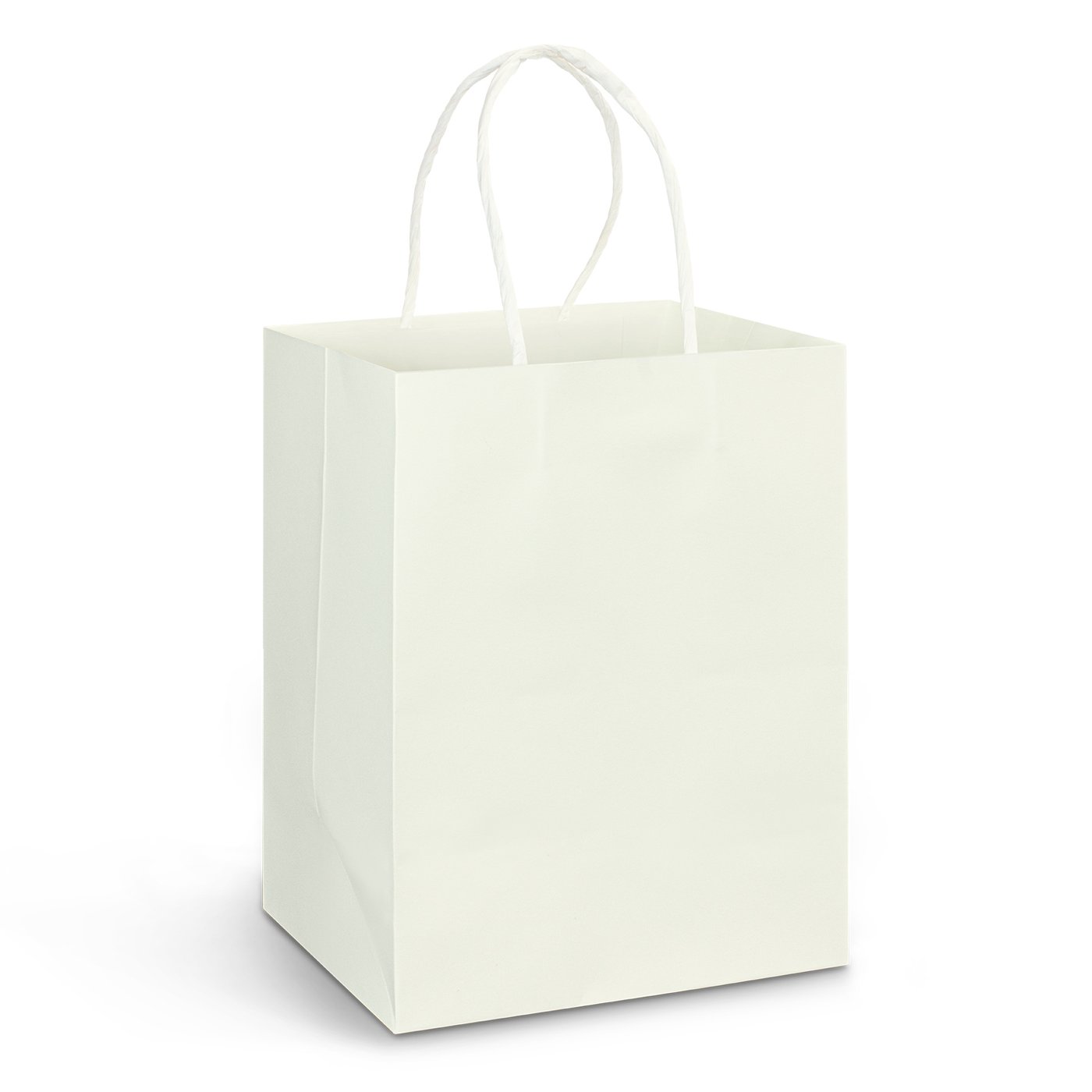 Large Paper Carry Bag – Full Colour