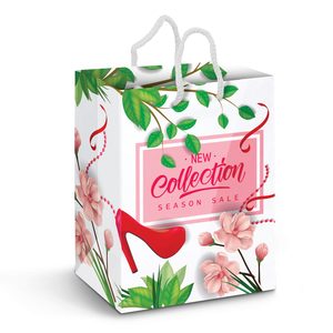 Large Laminated Paper Carry Bag – Full Colour