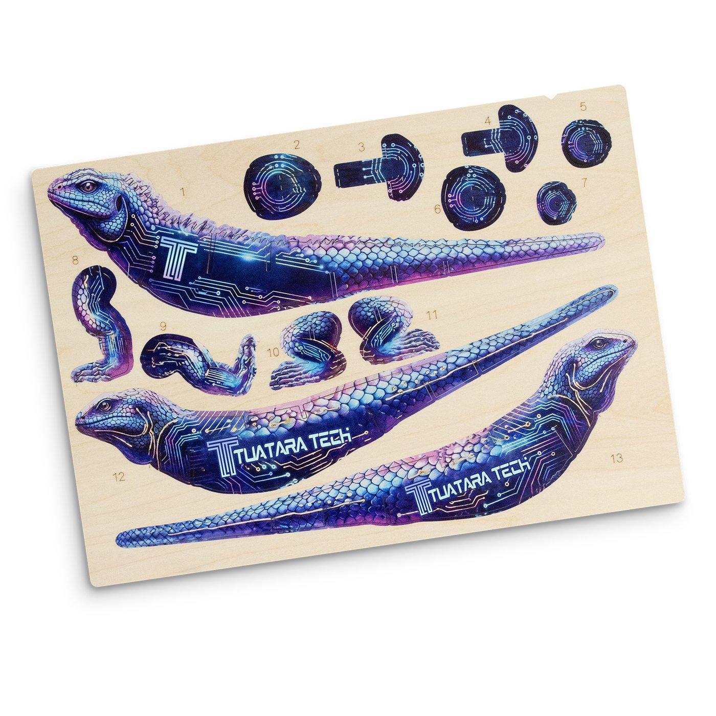 BRANDCRAFT Tuatara Wooden Model
