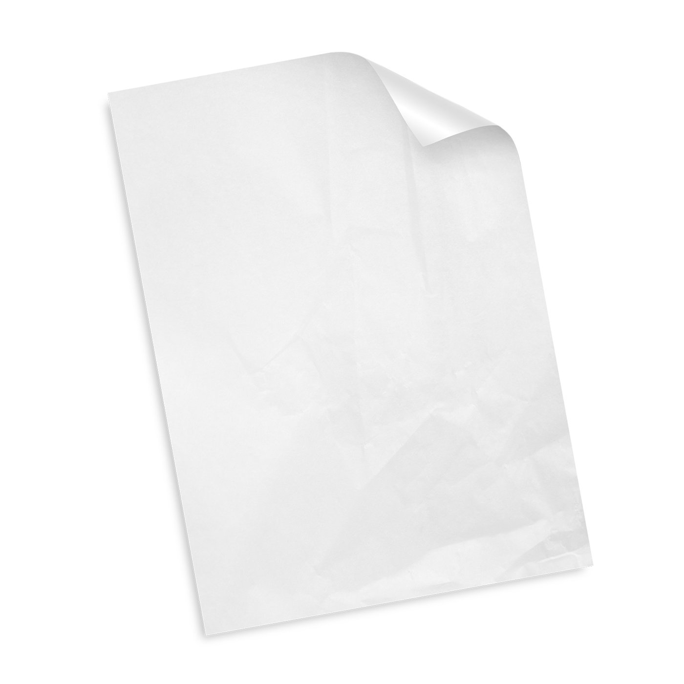 Custom Tissue Paper – Colour