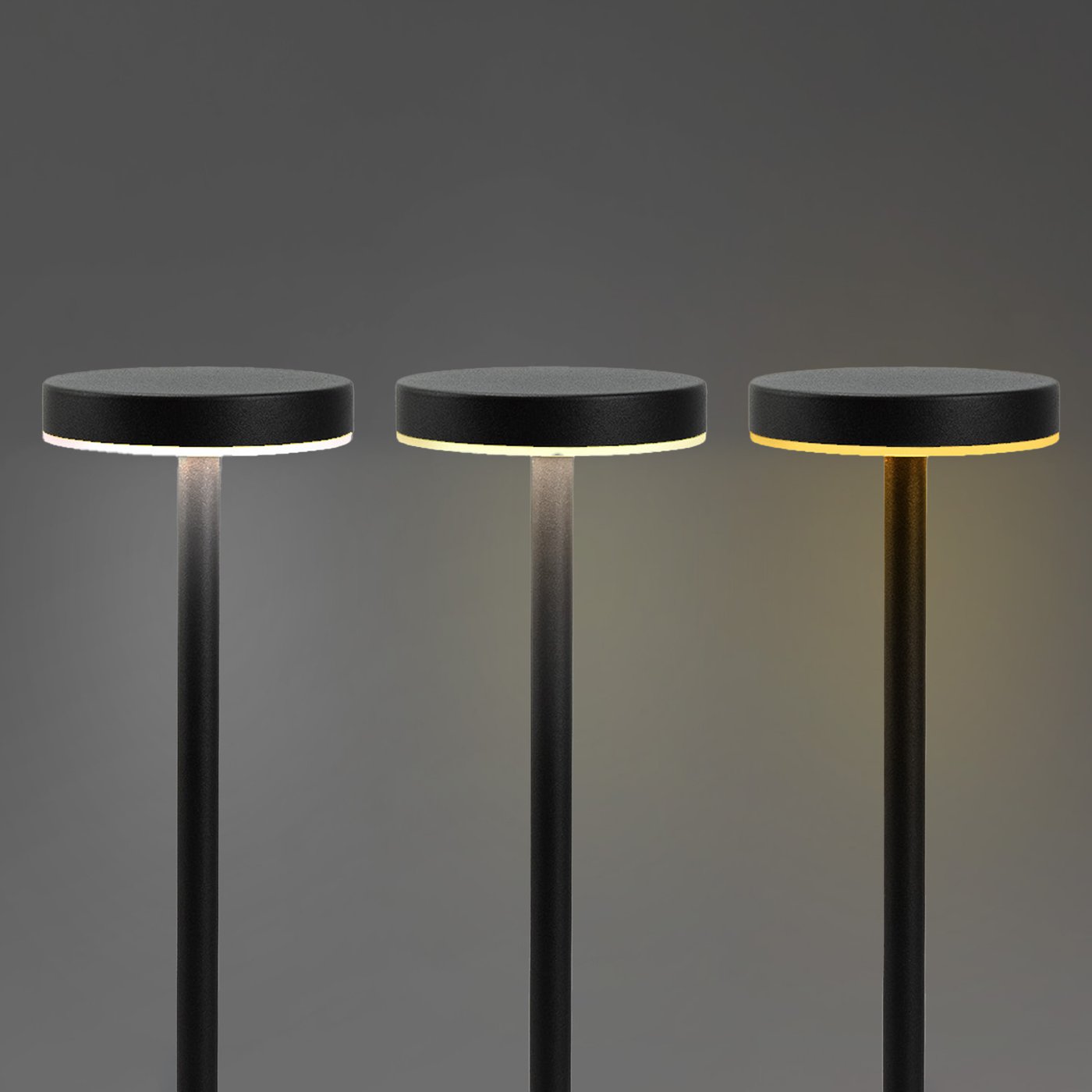 Nouveau Rechargeable Table Lamp
